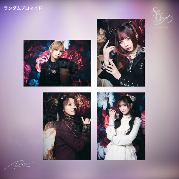 女王ステ 不滅部隊編『Rose』ランダムブロマイド
